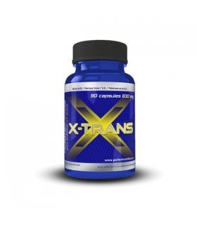 Perfect Nutrition X-Trans
