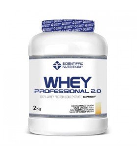 Scientiffic Nutrition Whey Professional 2.0